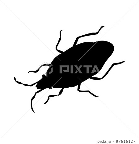 Bug Silhouette Bug Silhouette 97616127