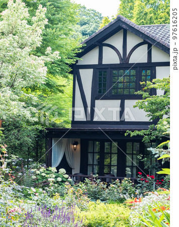 軽井沢のガーデンの美しい緑 97616205