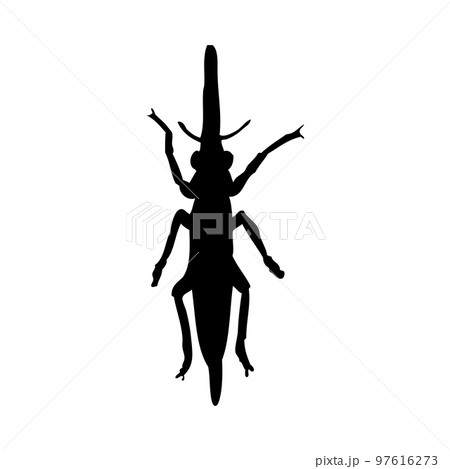 Grasshopper Silhouette Grasshopper Silhouette 97616273