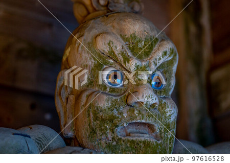 善福寺 97616528