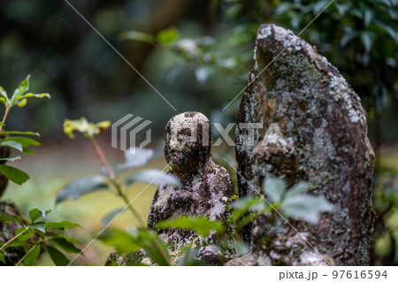 善福寺 善福寺 97616594