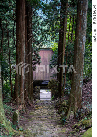 善福寺 97616604