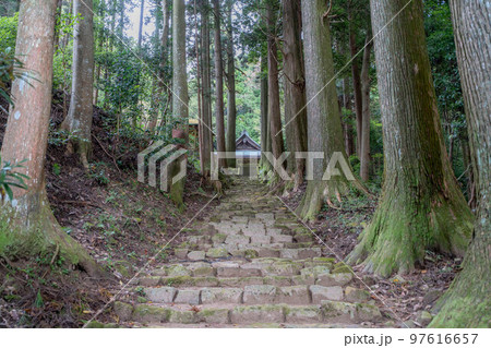善福寺 97616657