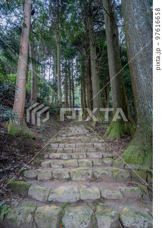 善福寺 善福寺 97616658