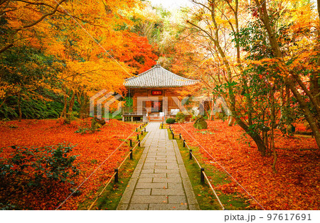 松島 円通院 松島 円通院 97617691