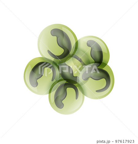 Frog Eggs Developing Composition 97617923