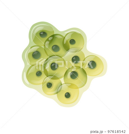 Frog Eggs Lifecycle Composition 97618542
