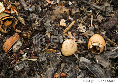 Defocus compost and composted soil cycle as a composting pile of rotting kitchen scraps with fruits and vegetable. Garbage waste turning into organic fertilizer earth. Out of focus 97618807