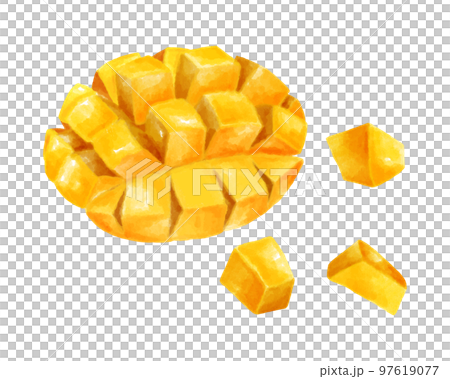 切芒果的水彩風格插圖 切芒果的水彩風格插圖 97619077