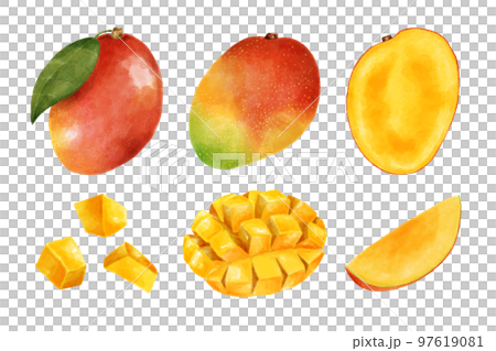 各種芒果水彩風格插圖集 97619081