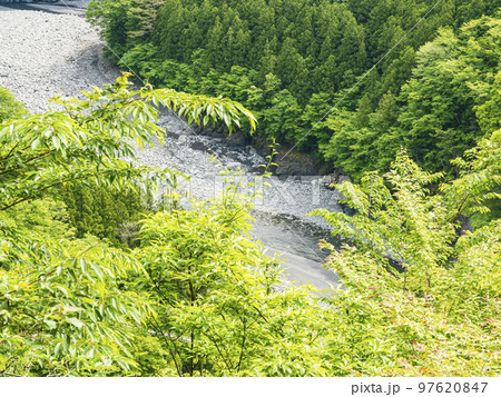 夢の吊橋で有名な静岡県川根本町の寸又峡 97620847