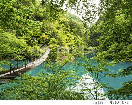 夢の吊橋で有名な静岡県川根本町の寸又峡 夢の吊橋で有名な静岡県川根本町の寸又峡 97620877