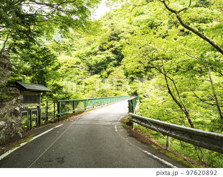 夢の吊橋で有名な静岡県川根本町の寸又峡 97620892