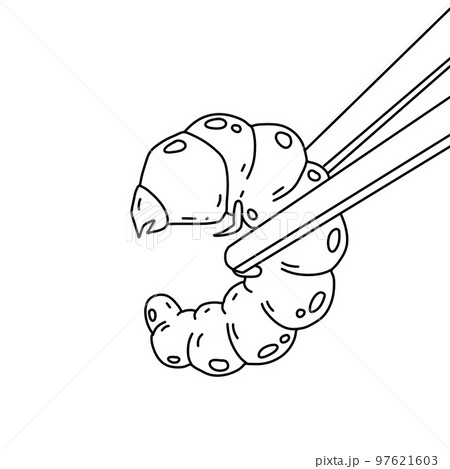 Edible larva. Eating caterpillar with chopsticks. Asian snack and street fast food. Source of insect protein. Edible larva. Eating caterpillar with chopsticks. Asian snack and street fast food. Source of insect protein. 97621603