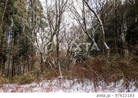 冬の菊池渓谷雪景色 冬の菊池渓谷雪景色 97622183