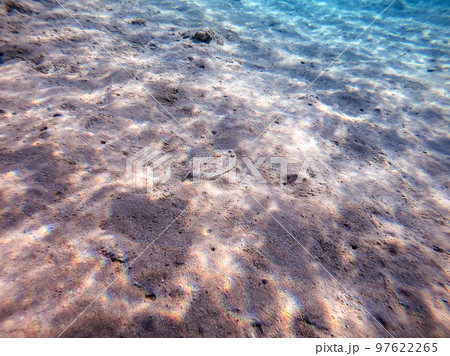 Panther flounder fish (Bothus pantherinus) on sand at coral reef.. Panther flounder fish (Bothus pantherinus) on sand at coral reef.. 97622265