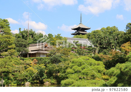 仁和寺御所の庭園 97622580