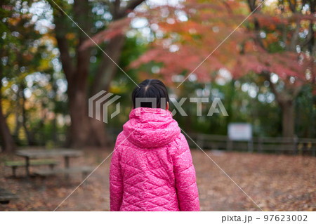 冬の公園の紅葉の風景と散歩している小学生の女の子の後ろ姿 97623002