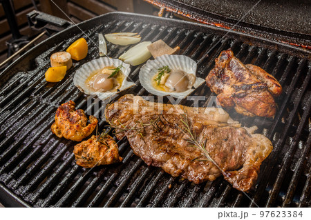 バーベキュー Barbecue party outdoors バーベキュー Barbecue party outdoors 97623384