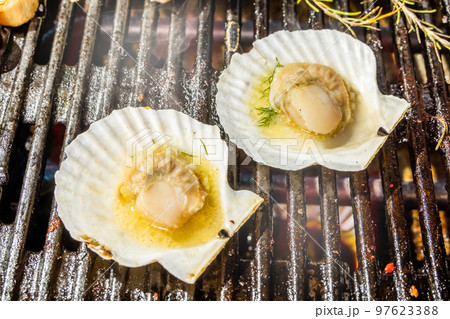 バーベキュー Barbecue party outdoors バーベキュー Barbecue party outdoors 97623388