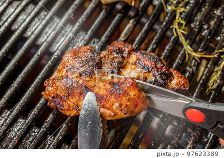 バーベキュー Barbecue party outdoors バーベキュー Barbecue party outdoors 97623389