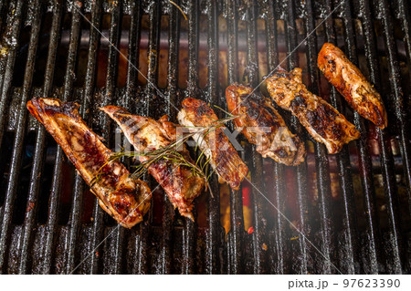 バーベキュー Barbecue party outdoors 97623390