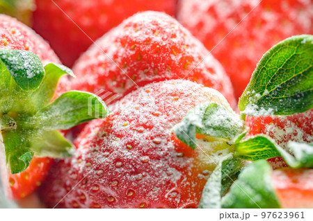 フルーツ 果物 イチゴ 97623961