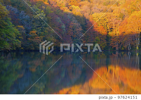 紅葉の蔦沼 97624151