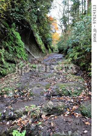 晩秋の朝夷奈切通（朝比奈切通） 97624313