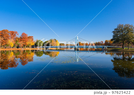東京都葛飾区 秋の水元公園 東京都葛飾区 秋の水元公園 97625422