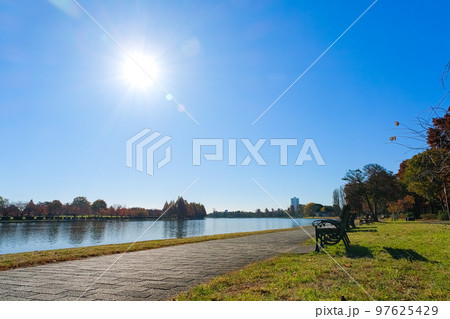 東京都葛飾区 秋の水元公園 97625429