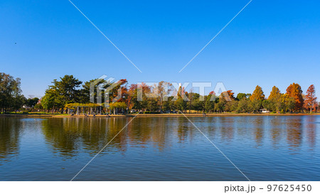 東京都葛飾区 秋の水元公園 小合溜 東京都葛飾区 秋の水元公園 小合溜 97625450