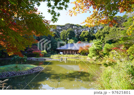 京都府木津川市・秋の浄瑠璃寺本堂 97625801