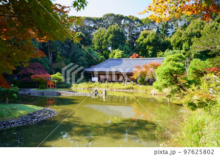 京都府木津川市・秋の浄瑠璃寺本堂 97625802