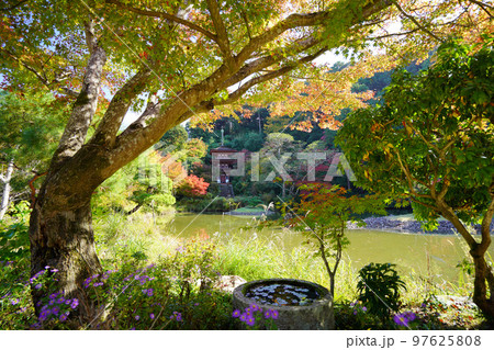 京都府木津川市・秋の浄瑠璃寺・紅葉の中の三重塔 97625808