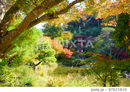 京都府木津川市・秋の浄瑠璃寺・紅葉の中の三重塔 京都府木津川市・秋の浄瑠璃寺・紅葉の中の三重塔 97625810