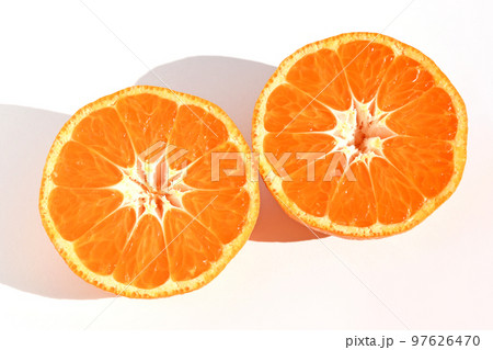 ミカンページ Nankan 20 Juice -2024- | Tangerine