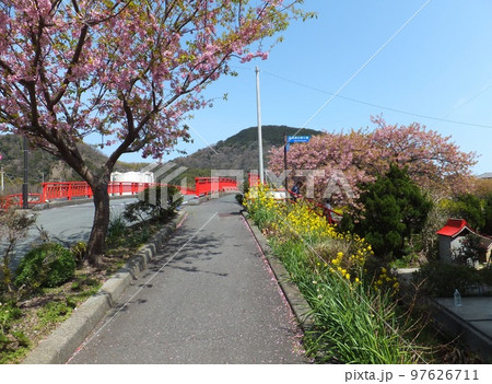 暖かい南伊豆の春の路 97626711