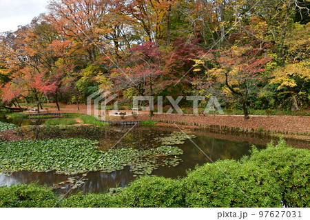 久保田城04 97627031