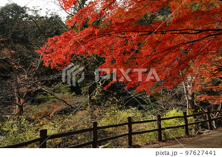 昇仙峡、渓谷、岩山、岩、自然、紅葉、滝、水、川、流れ、葉、木、山、観光、旅行、日本、御岳昇仙峡、山梨 97627441