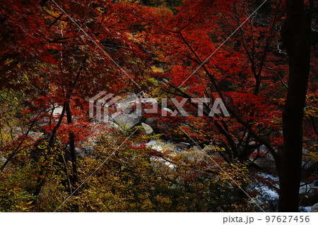 昇仙峡、渓谷、岩山、岩、自然、紅葉、滝、水、川、流れ、葉、木、山、観光、旅行、日本、御岳昇仙峡、山梨 97627456