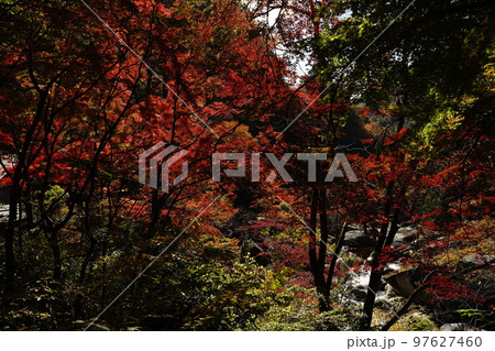 昇仙峡、渓谷、岩山、岩、自然、紅葉、滝、水、川、流れ、葉、木、山、観光、旅行、日本、御岳昇仙峡、山梨 昇仙峡、渓谷、岩山、岩、自然、紅葉、滝、水、川、流れ、葉、木、山、観光、旅行、日本、御岳昇仙峡、山梨 97627460