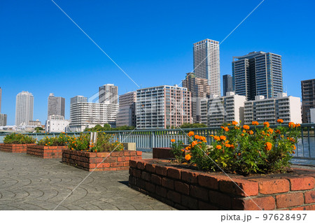 東京都中央区の隅田川沿い 隅田川テラス 勝鬨橋付近 97628497