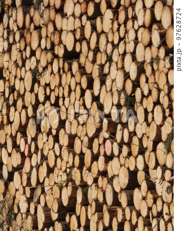 fire wood in winter outdoors fire wood in winter outdoors 97628724