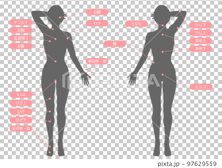 適合短鮑伯、前後輪廓套裝的女性除毛療程區 適合短鮑伯、前後輪廓套裝的女性除毛療程區 97629559