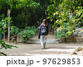 女性の一人旅で沖縄のフクギ並木を歩く 97629853