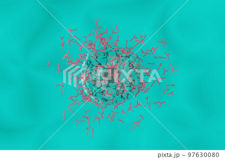 抗体を産生する形質細胞のイメージ 97630080