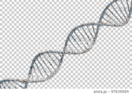 DNAの二重螺旋のイメージ 97630084