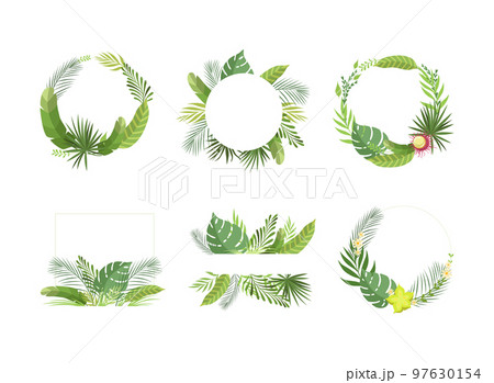 Shaped Frame with Green Tropical Leaves and Jungle Foliage Vector Set 97630154