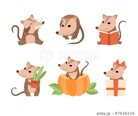Cute Opossum Animal Engaged in Different Activity Vector Set 97630216